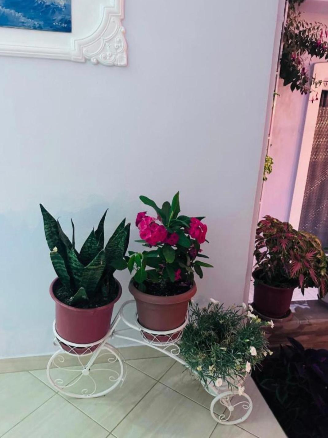 Sala Apartment'S Sarande Ngoại thất bức ảnh